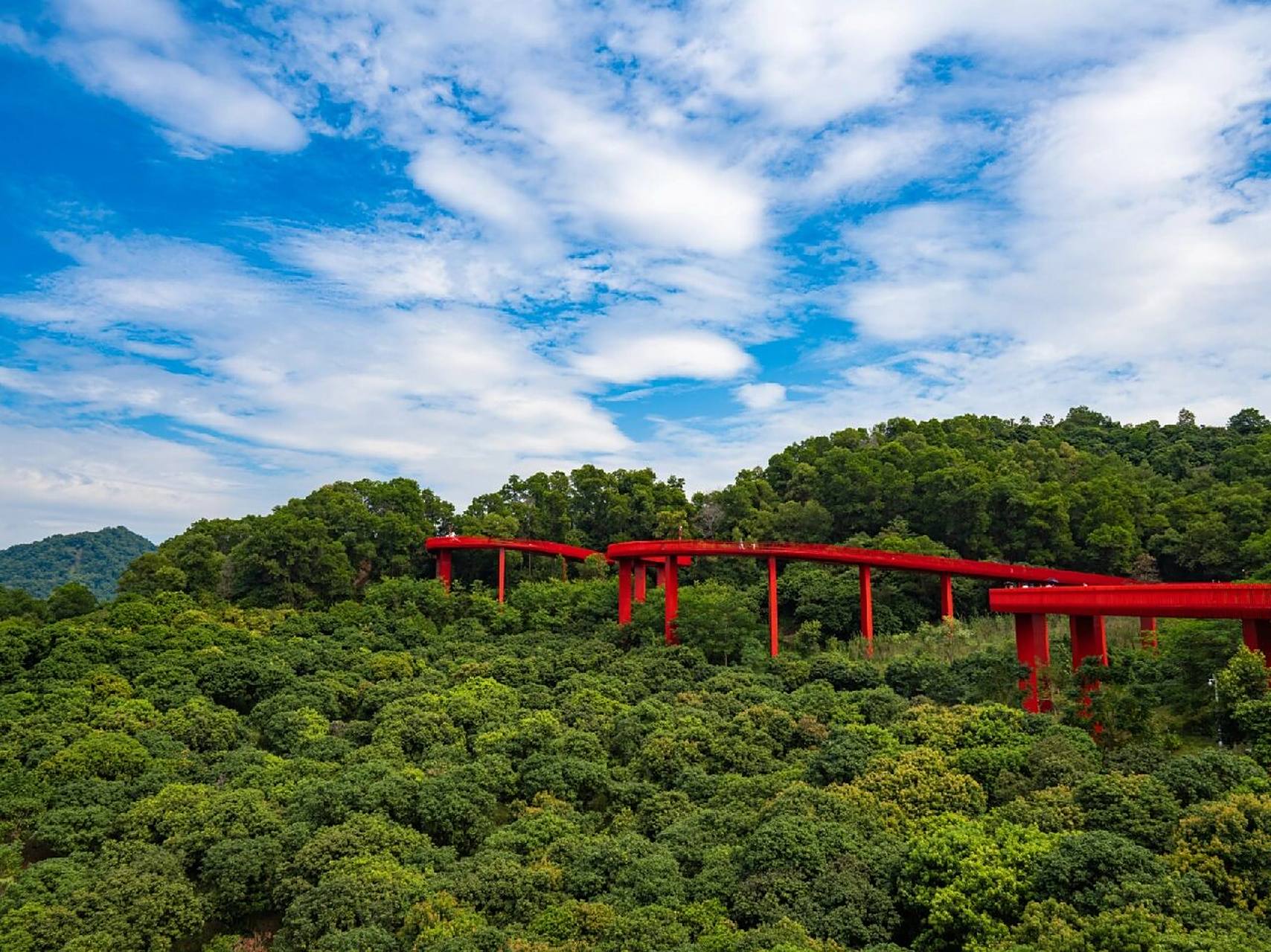 深圳光明92虹桥公园77红桥绿树蓝天白云78 虹桥公园,红桥,网