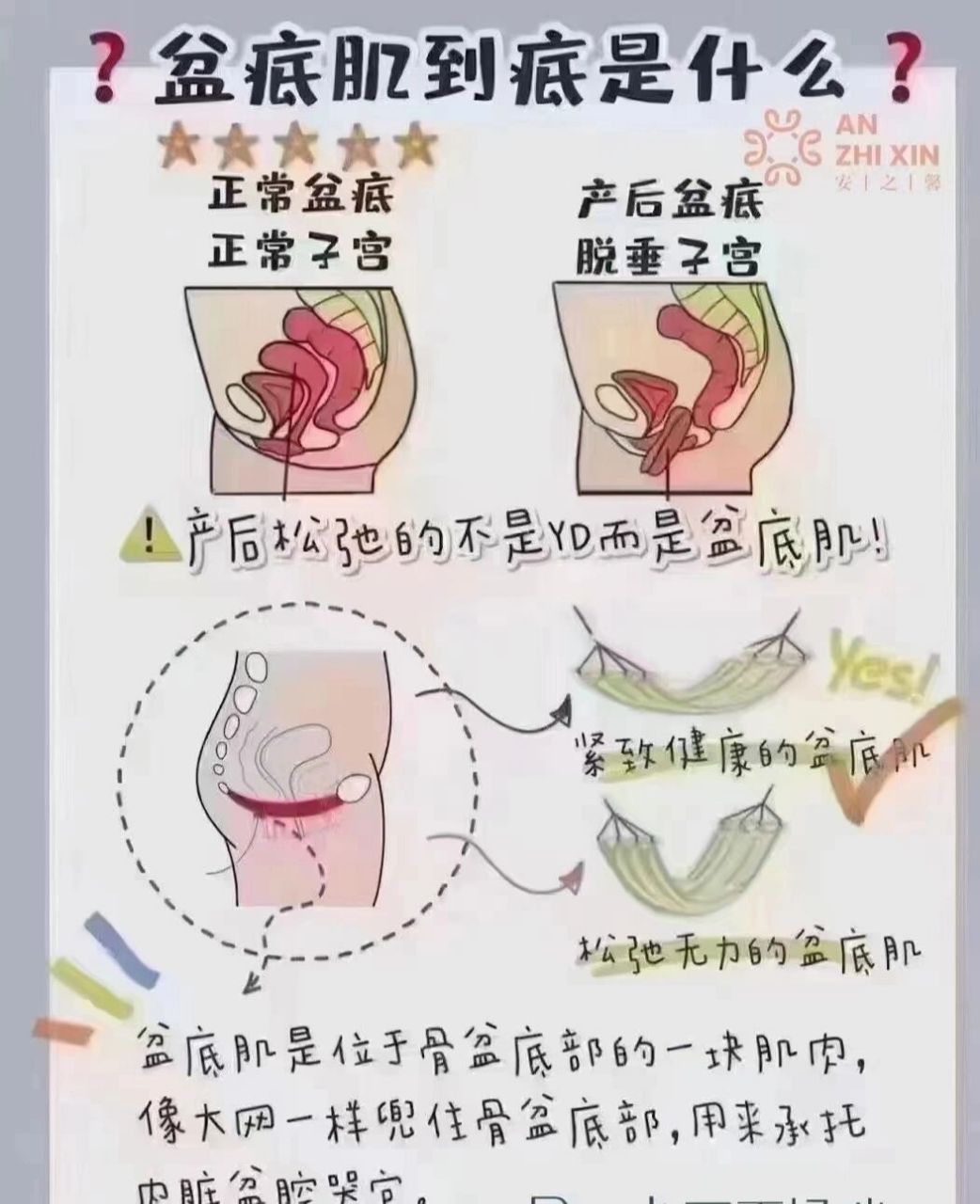 阴道前壁膨出叫膀脱胱垂 后壁膨出叫直肠脱垂 还有子宫脱垂 都是因为