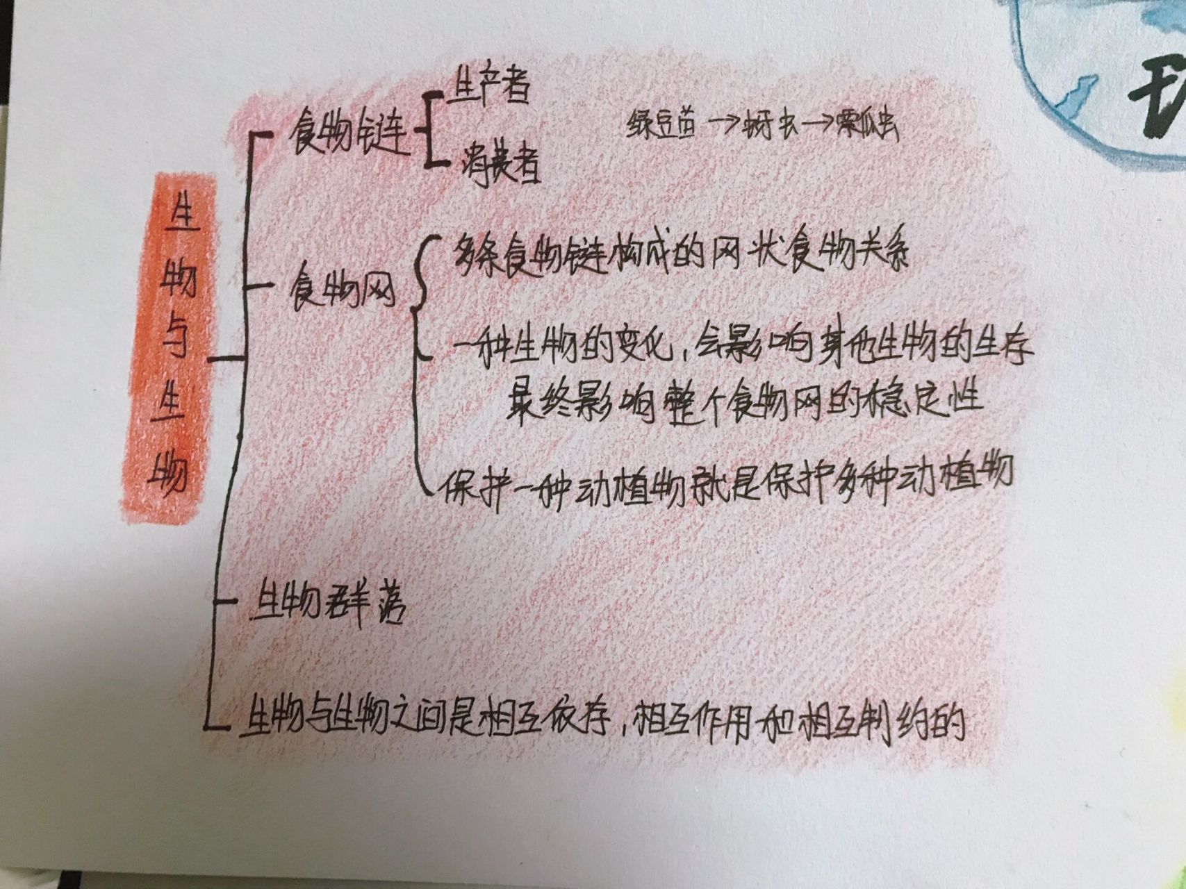 五下科学第一单元生物与环境思维导图 我今天也很努力画了!我超棒!