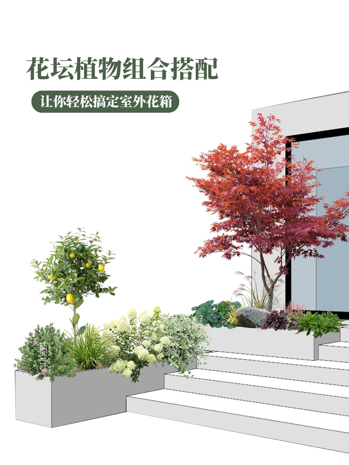 多款花坛植物组合搭配(内含植物清单)