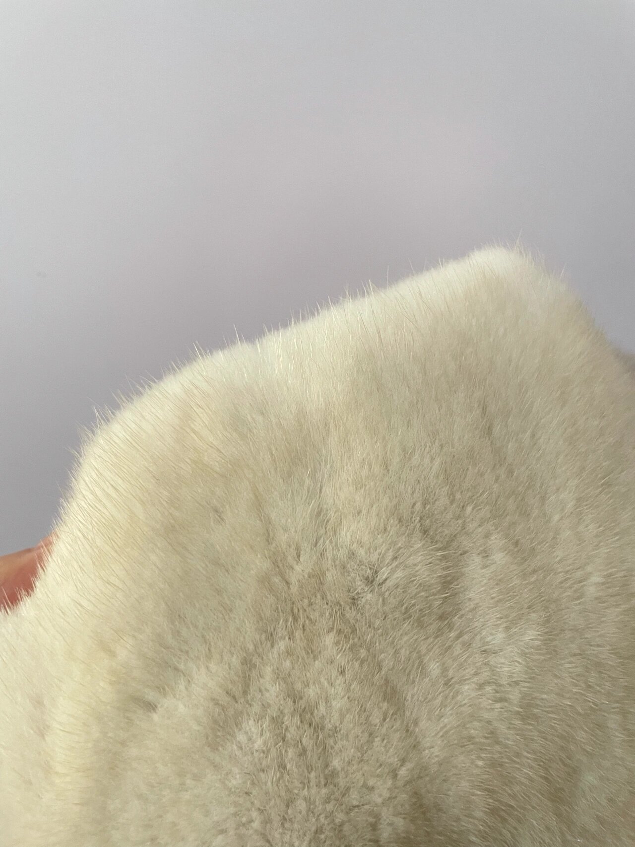 这几天买了三件珍珠白的貂,这是到的第一件,颜色奇奇怪怪的,但是毛针