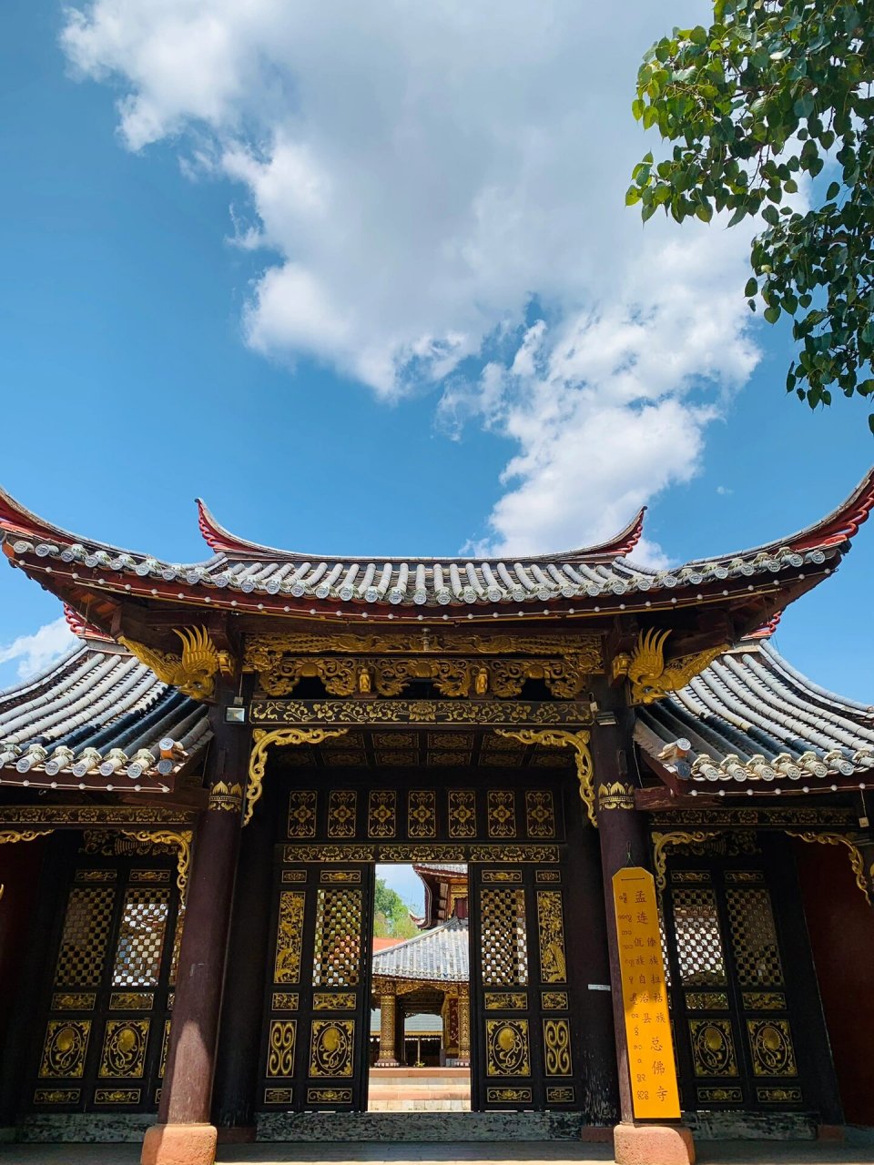 偶然刷到的一条云南边境小众旅游线路 澜沧7915孟连7915西盟