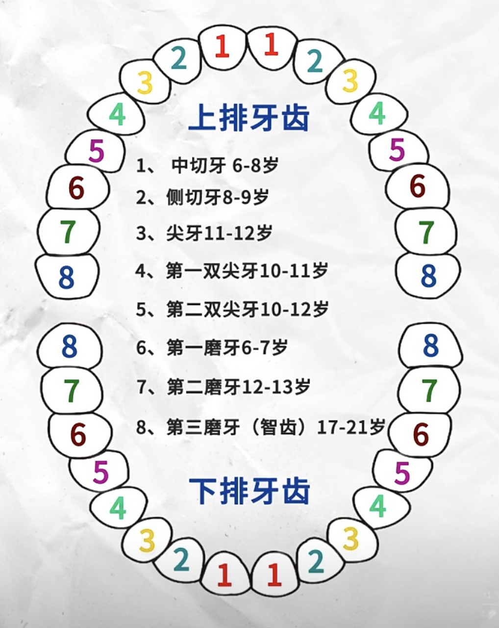 儿童换牙顺序你知道吗 儿童在乳牙换牙期间要多吃含纤维素高,有一定