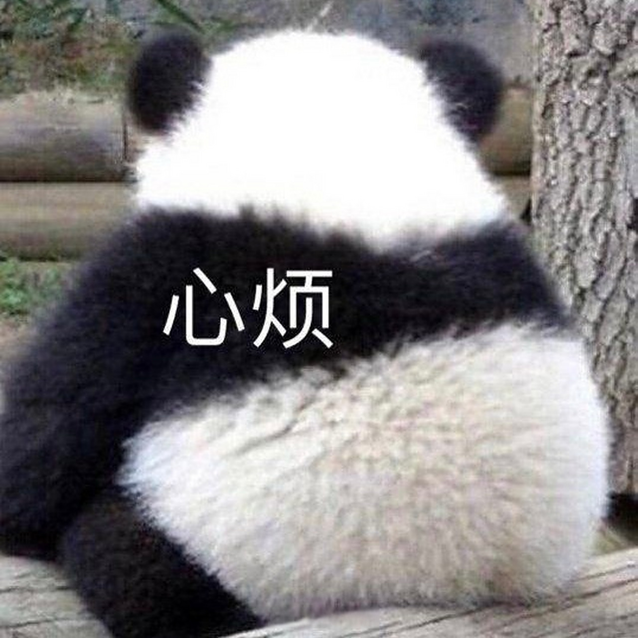大家阳康后有没有觉得体质变了?