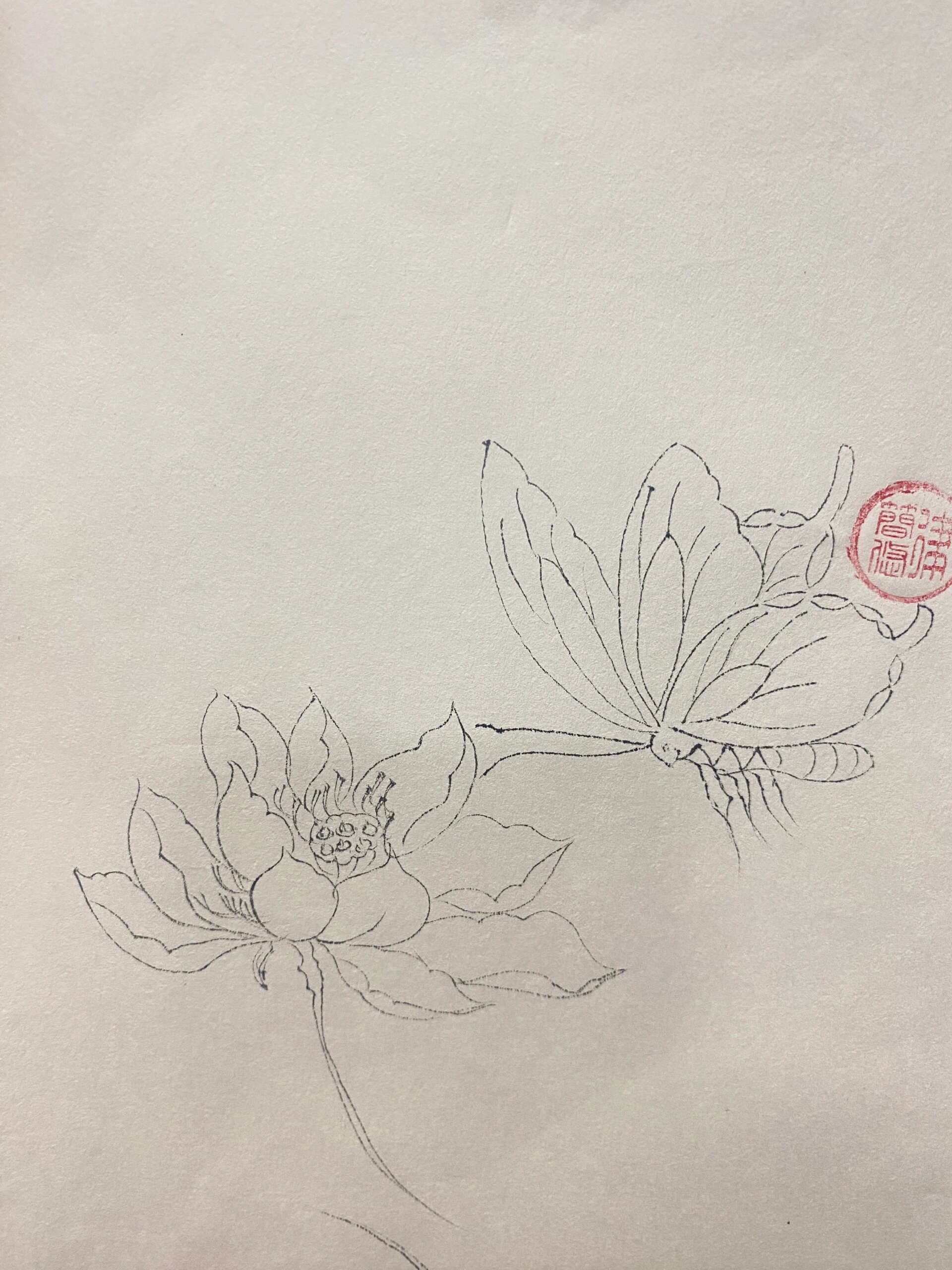 白描蝴蝶:你若盛开,蝴蝶自来