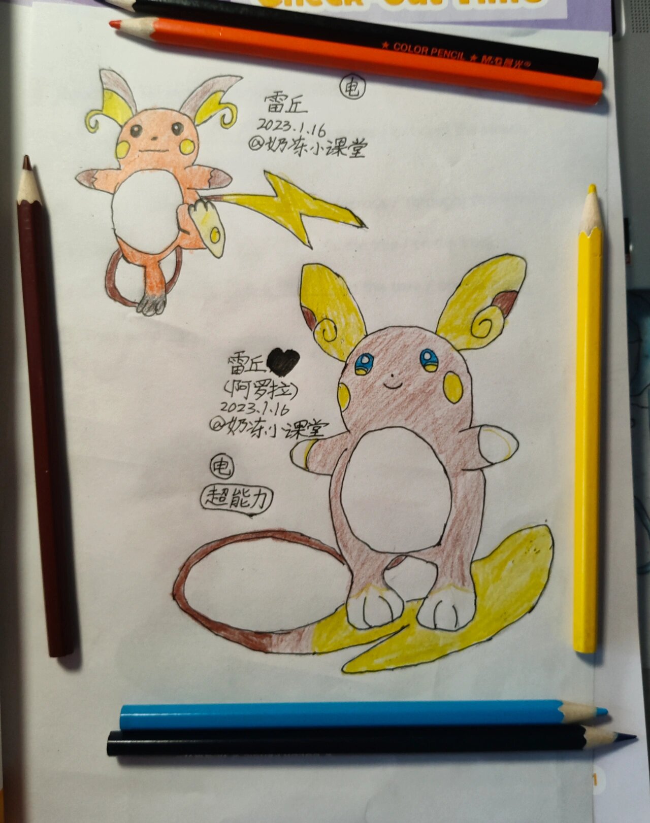 每天画两只宝可梦,雷丘阿罗拉雷丘