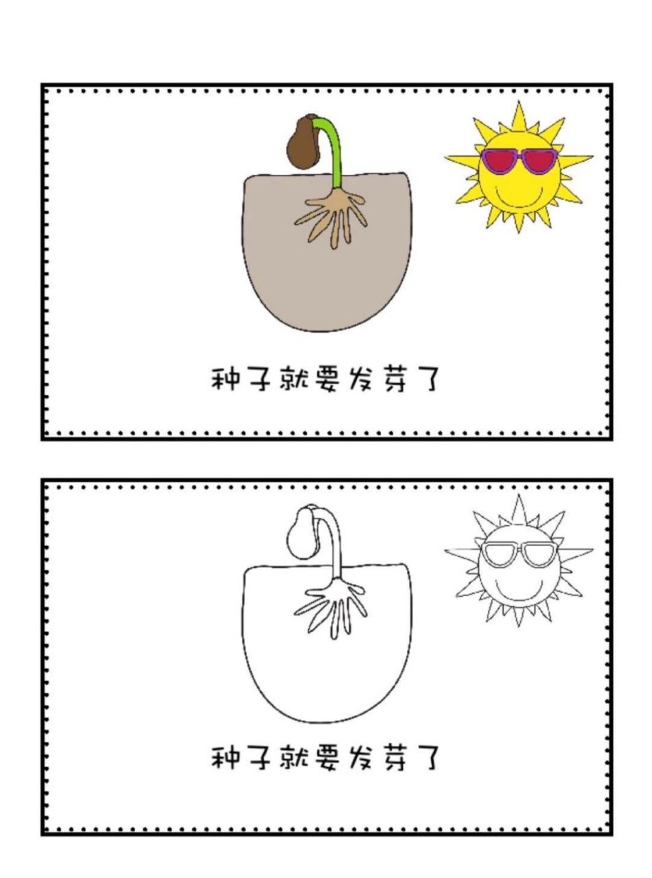 从种子到开花的过程