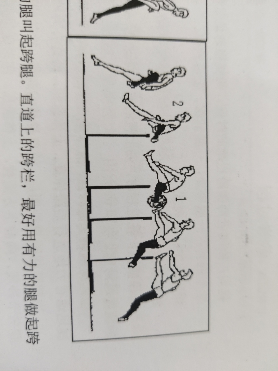 田径|跨栏跑技术(二)动作要点 在上栏时,先上栏