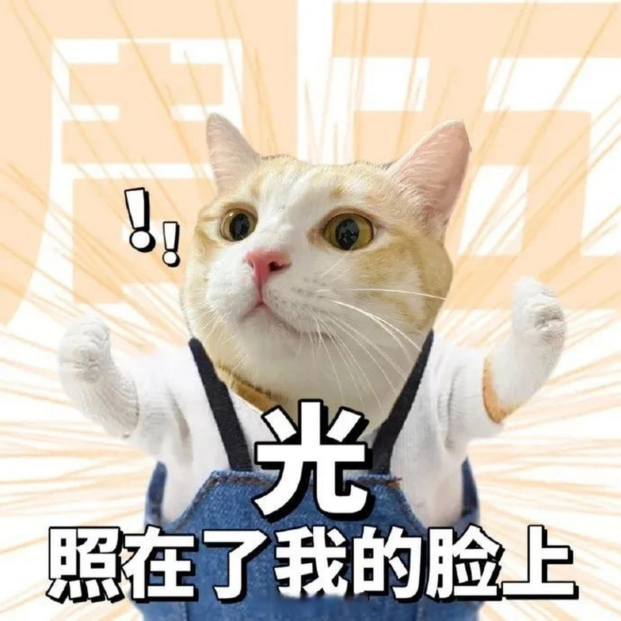 郑州昨天好热,早上是春天下午是夏天,一天就能体验四季变换