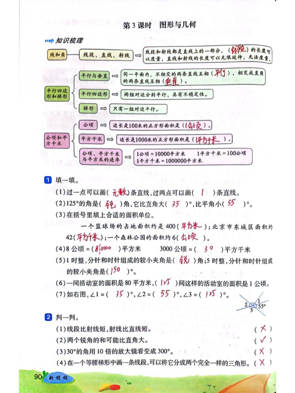 四年级上册新领程图片