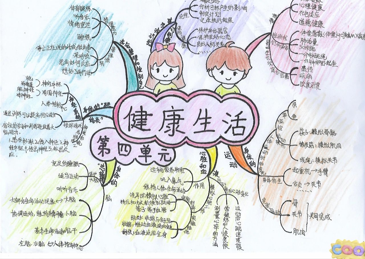 五上科学第四单元《健康生活》思维导图