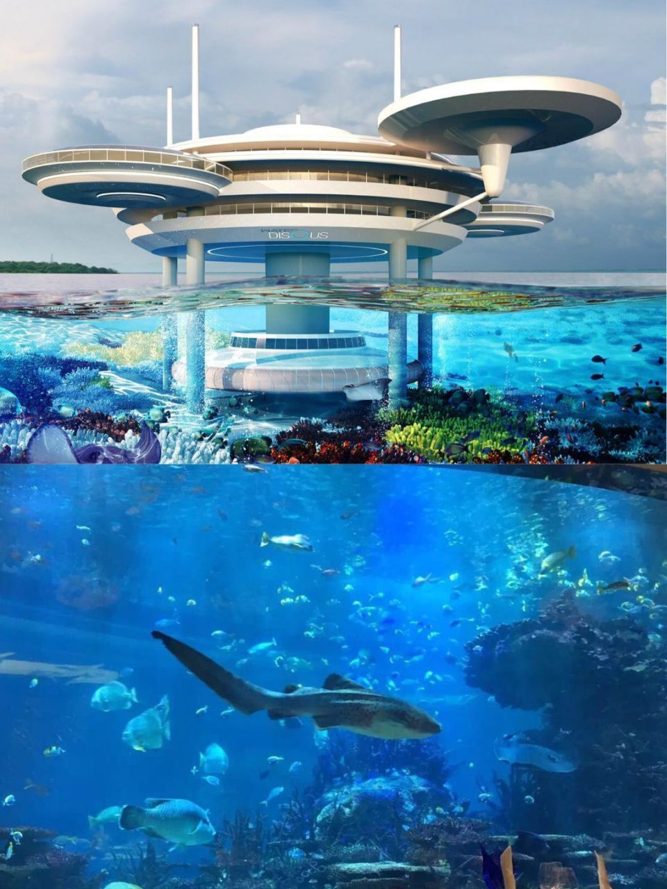 迪拜海底酒店:与海洋共舞的奢华梦境 9902位于迪拜阿拉伯湾水下60