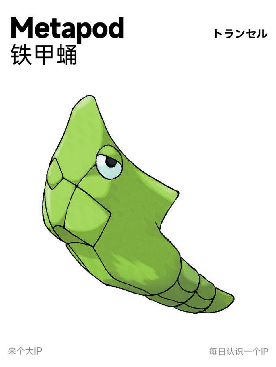 ンセル,英文﹗metapod) 08ip介绍: 铁甲蛹是绿色的虫蛹外形的宝可梦