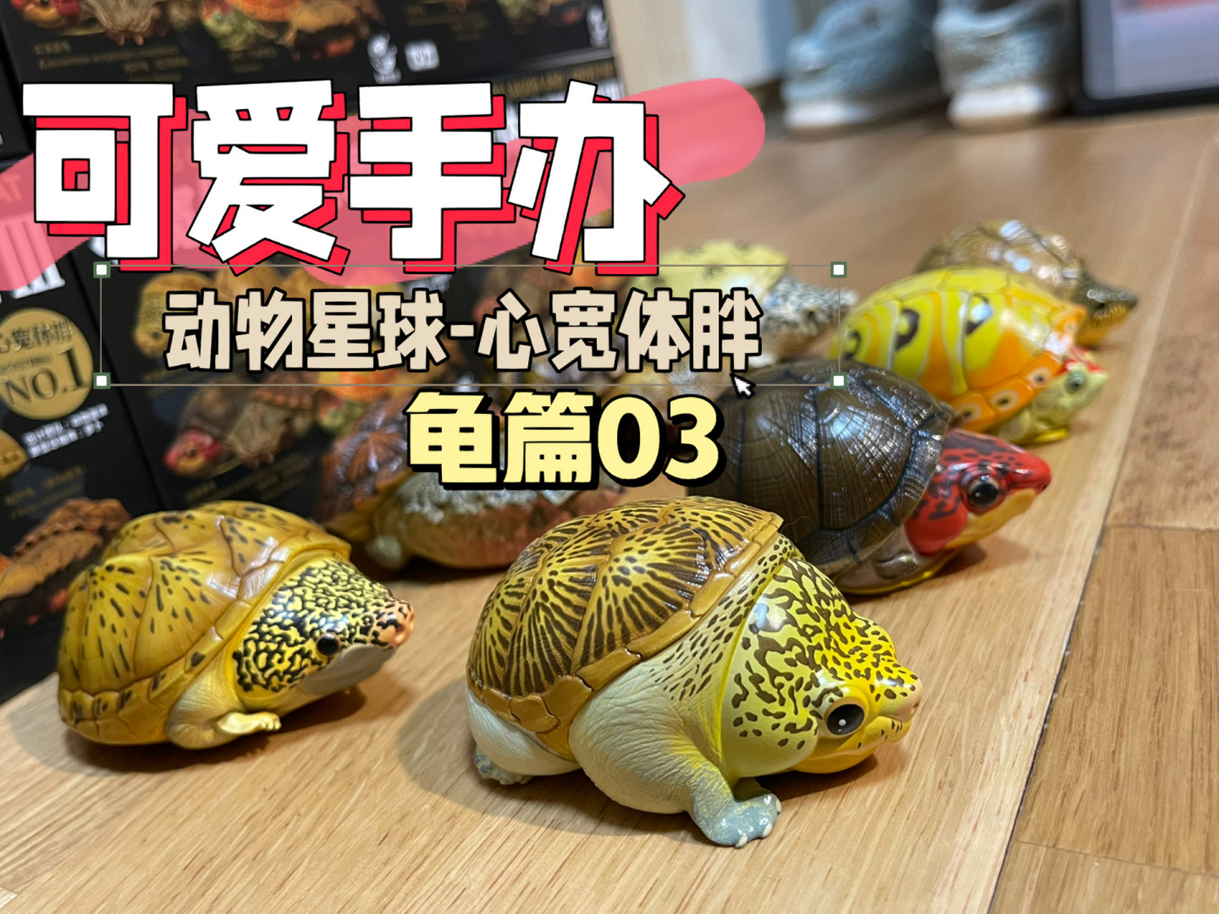 动物星球-心宽体胖系列 龟篇03实拍 #潮玩手办# #龟# #模型# 动物星球
