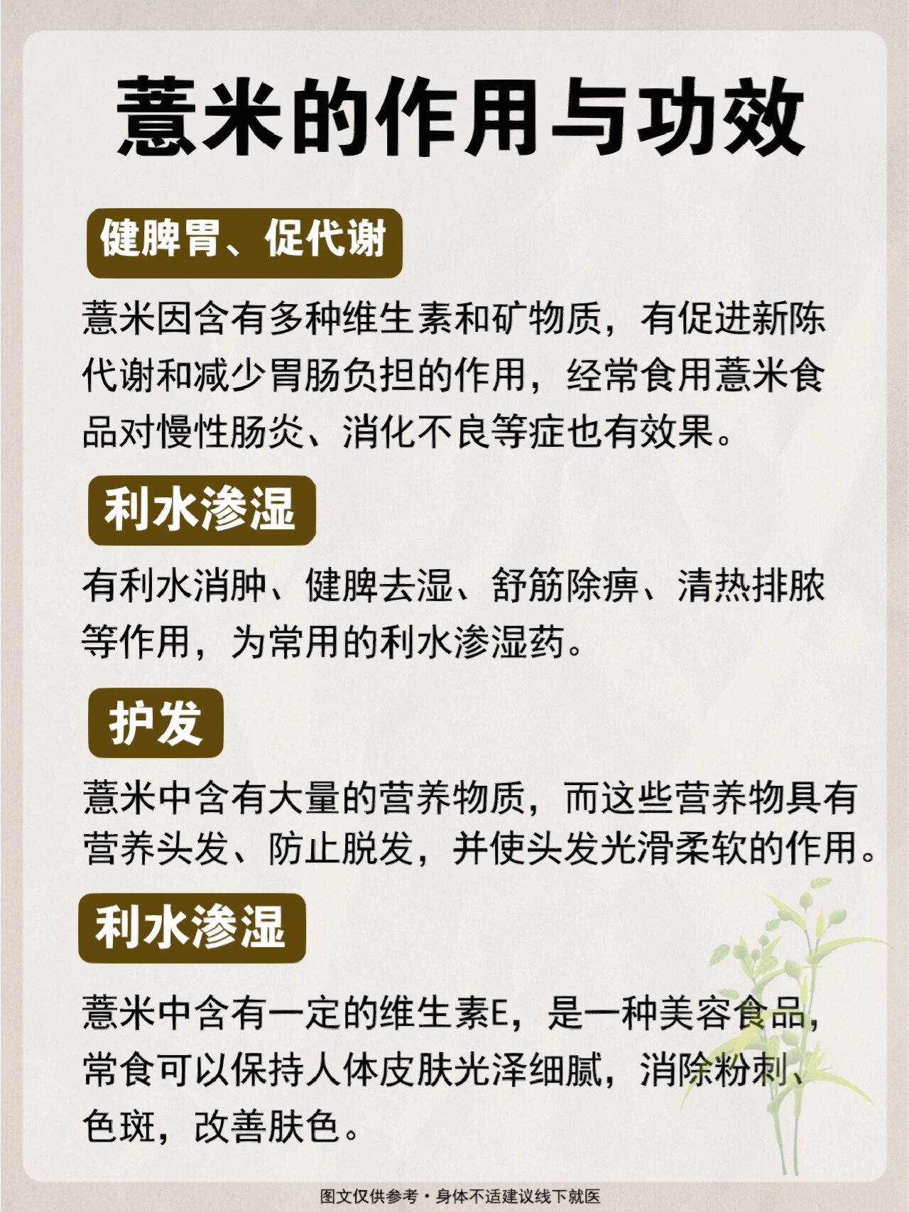 薏苡仁,祛湿,健脾的超级食物✔️薏米蕞常见的吃法就是家庭中