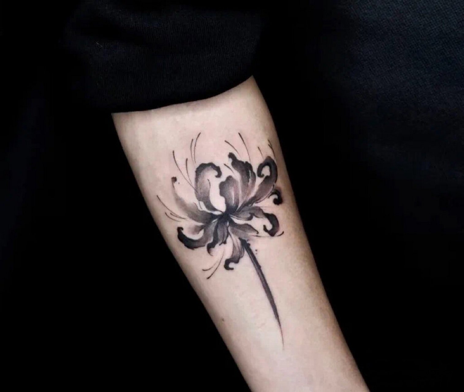 适合女生的彼岸花纹身图案素材手稿收藏♣️  彼岸花的花语则为