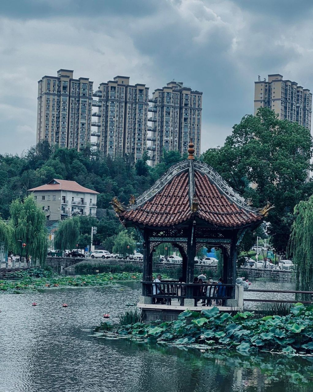 富顺西湖塘,风景优美!