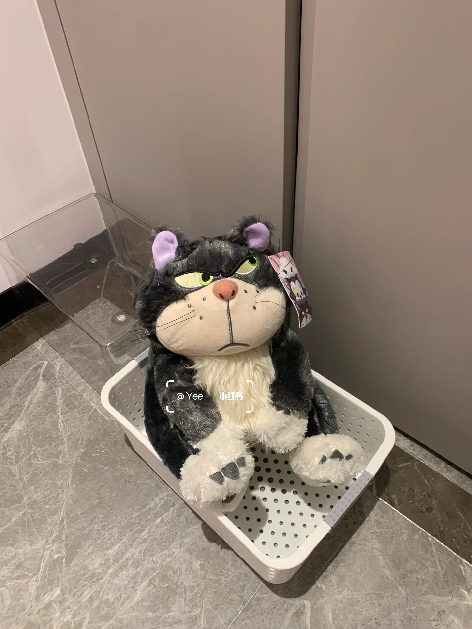 迪士尼肥胖猫路西法 125包邮