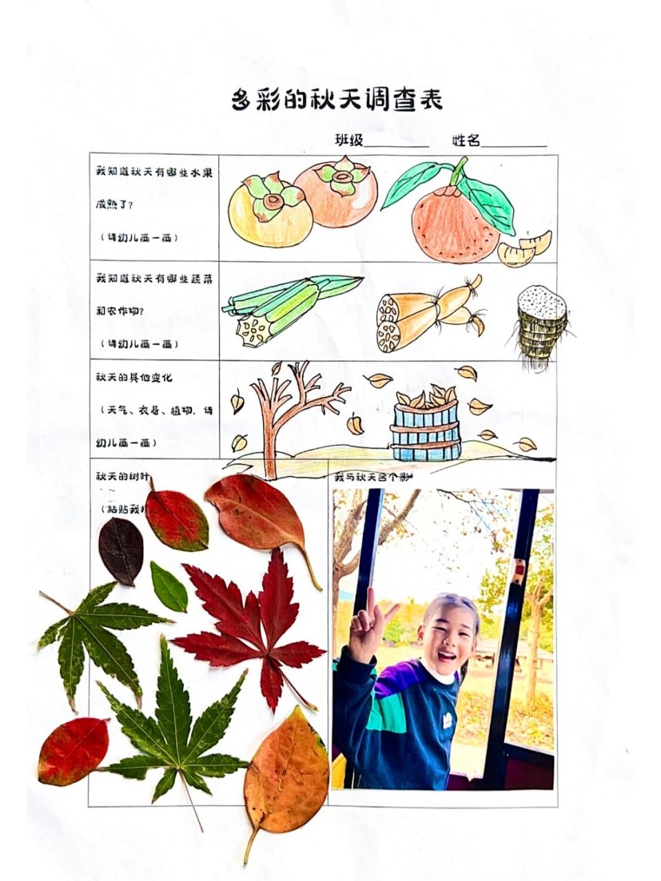 幼儿园《多彩的秋天》的调查表 《多彩的秋天》主题,和孩子一起找秋天