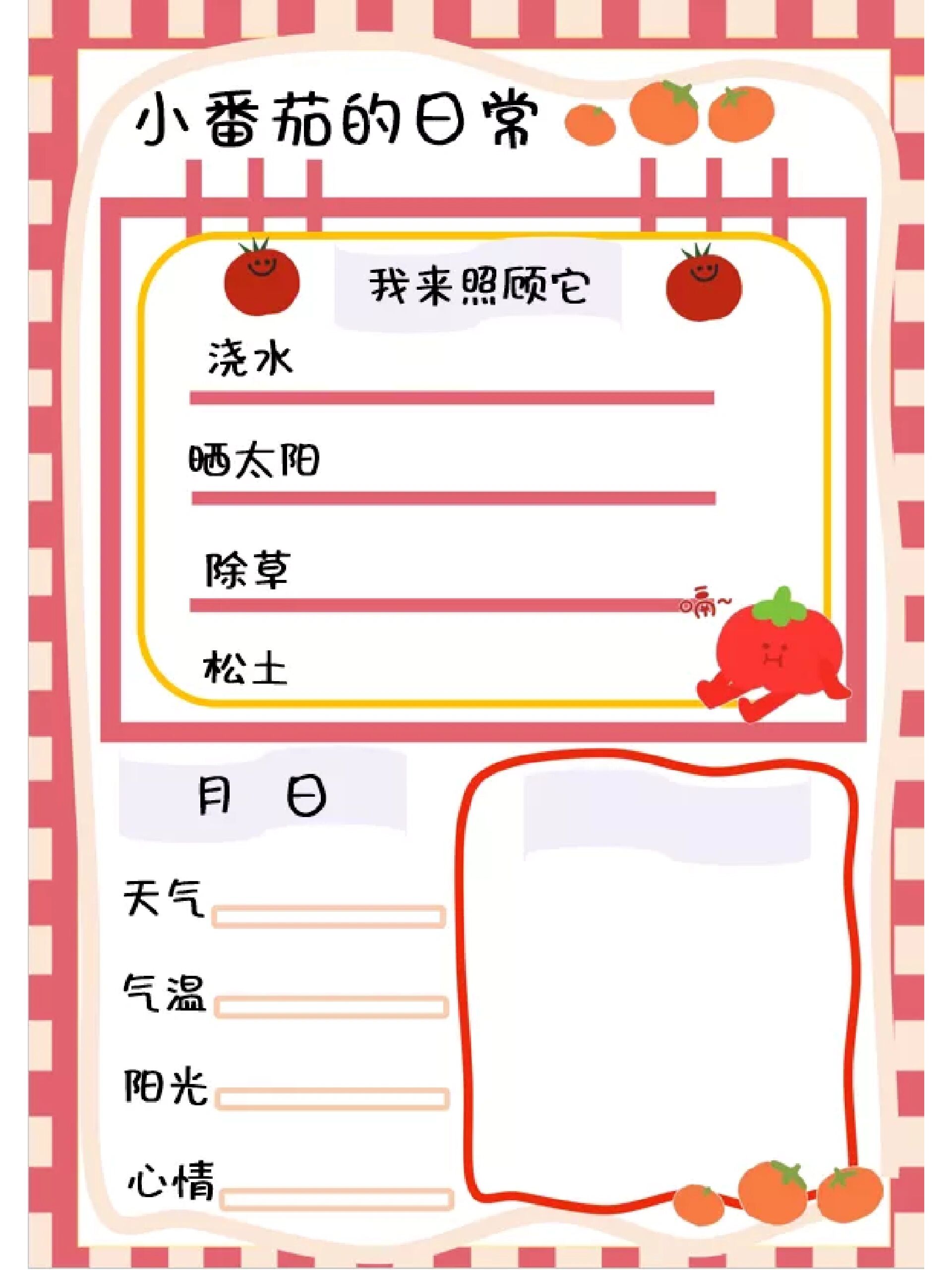 植物角观察记录表