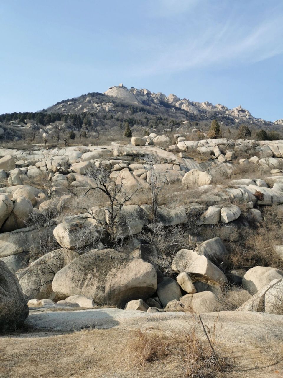 泰山雄华山险黄山奇图片