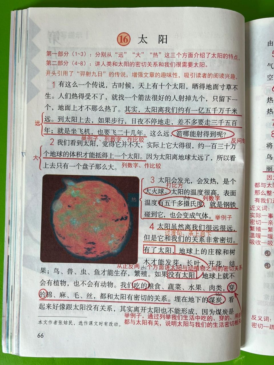 五年级语文上册16太阳超详细课本笔记