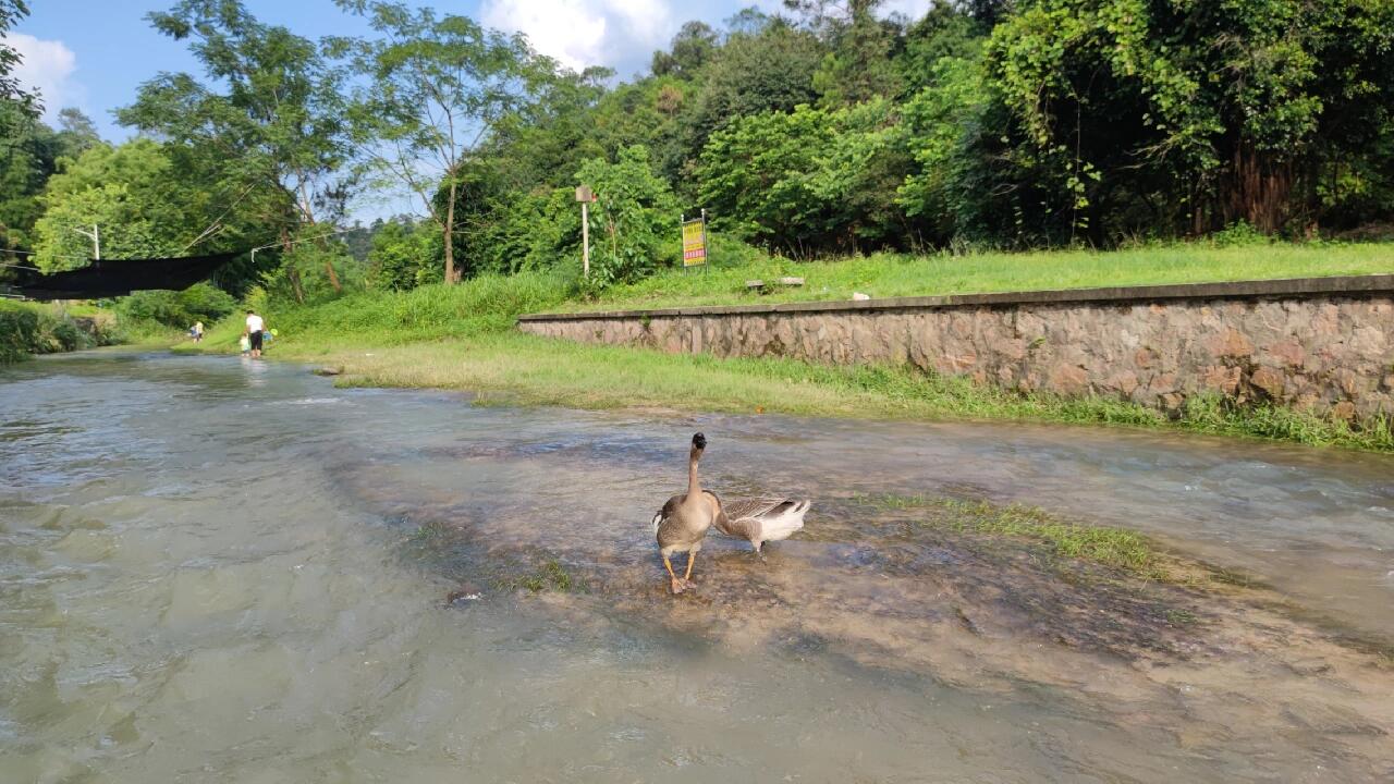 周末好去处:广州市花都红山村(花田小镇)