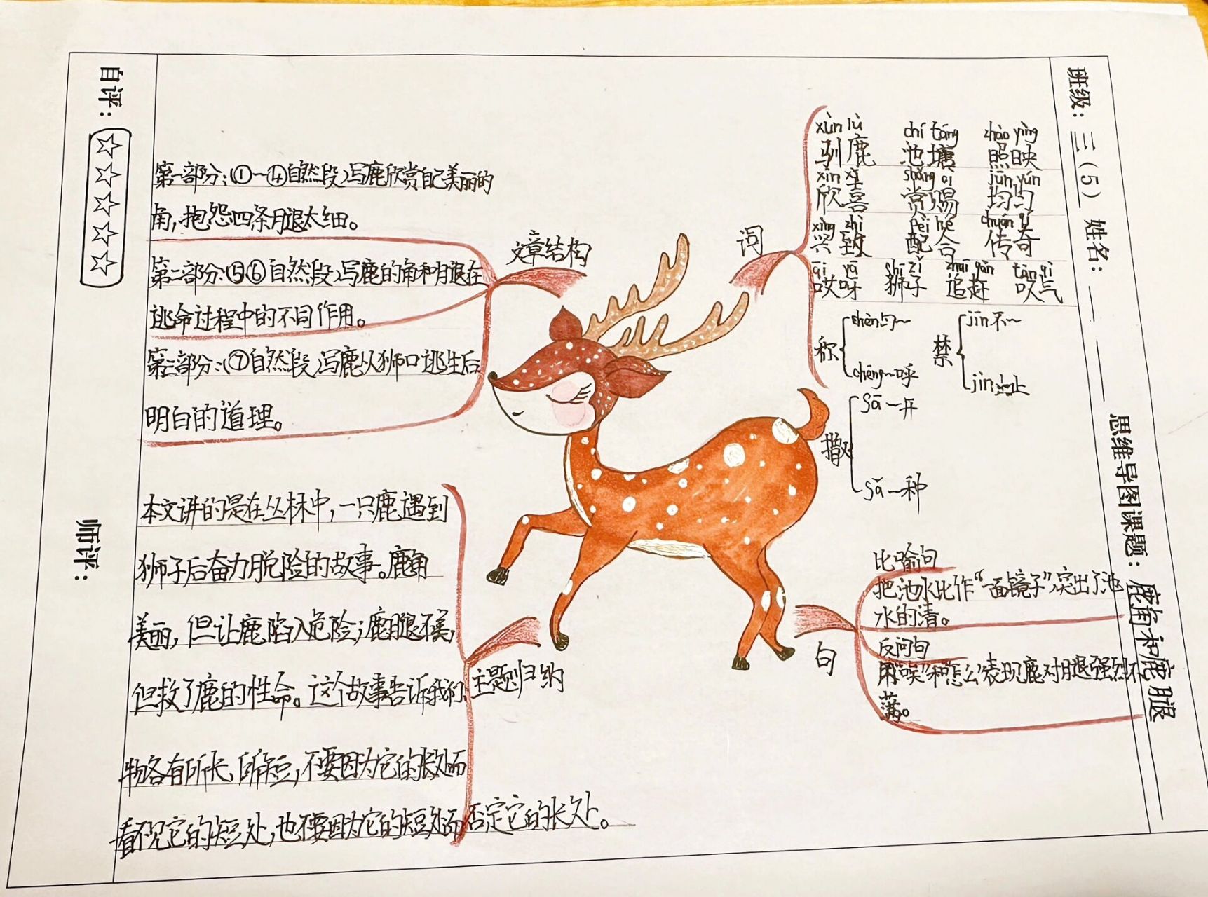 鹿角和鹿退思维导图图片