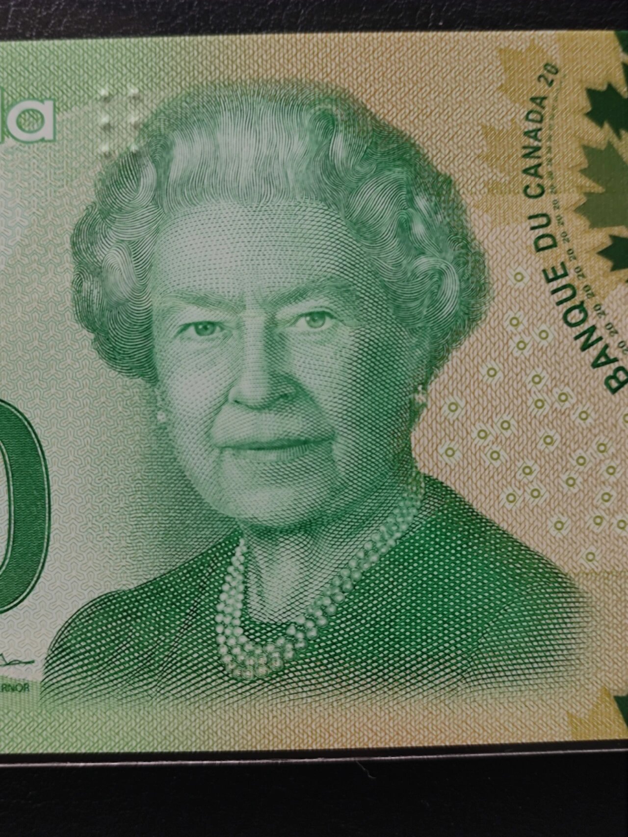 加拿大 英国女王头像塑料钞 20元