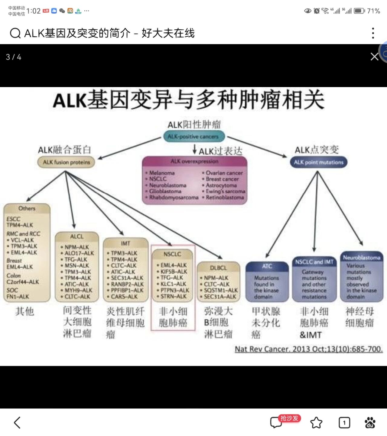 alk基因及突变的简介 该基因最早发现于间变性大细胞淋巴瘤,因此得名