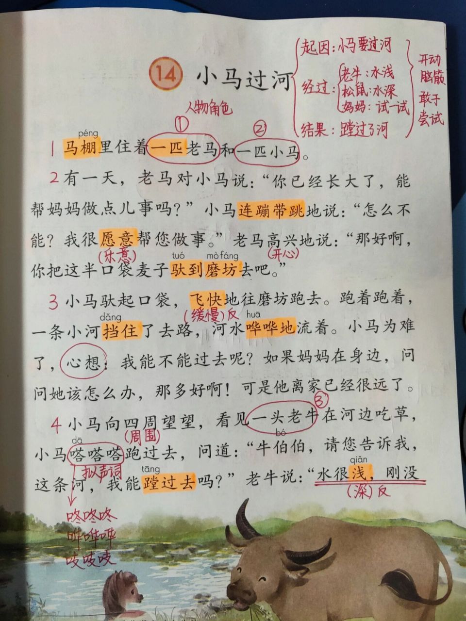二年级下册语文《小马过河》学习笔记 二下《小马98过河》笔记