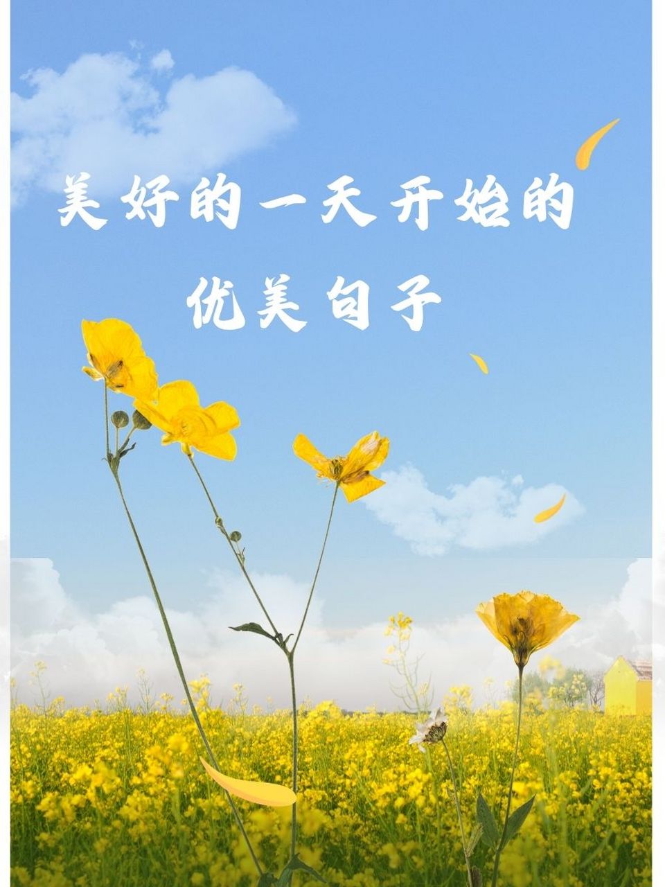 美好的一天开始的优美句子 98 清晨的阳光,温柔地唤醒沉睡的大地.