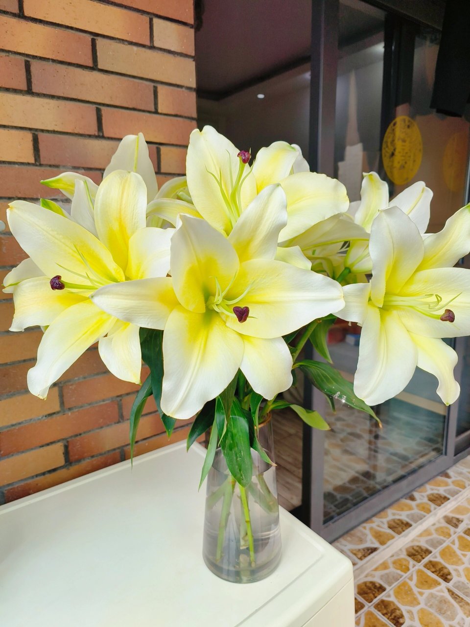 香到炸裂的百合·黄天霸 花材  :  黄天霸香水百合 起初把它放在客厅