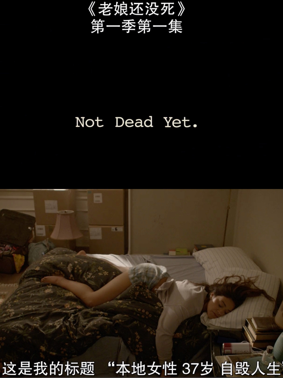 没有情人的情人节去看这部美剧95 97豆瓣还没有评分,太新了.