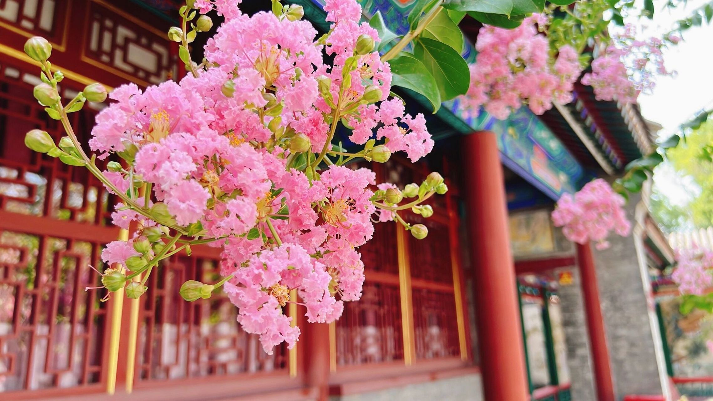 正定古城citywalk一日游 荣国府7915赵云庙7915 陈饸子饸烙村