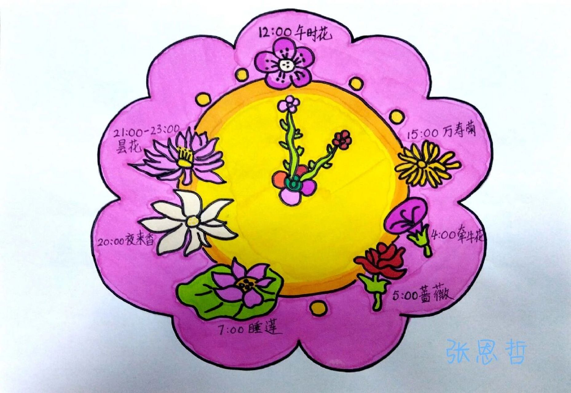 同学们画的三年级语文13课花钟,有点漂亮