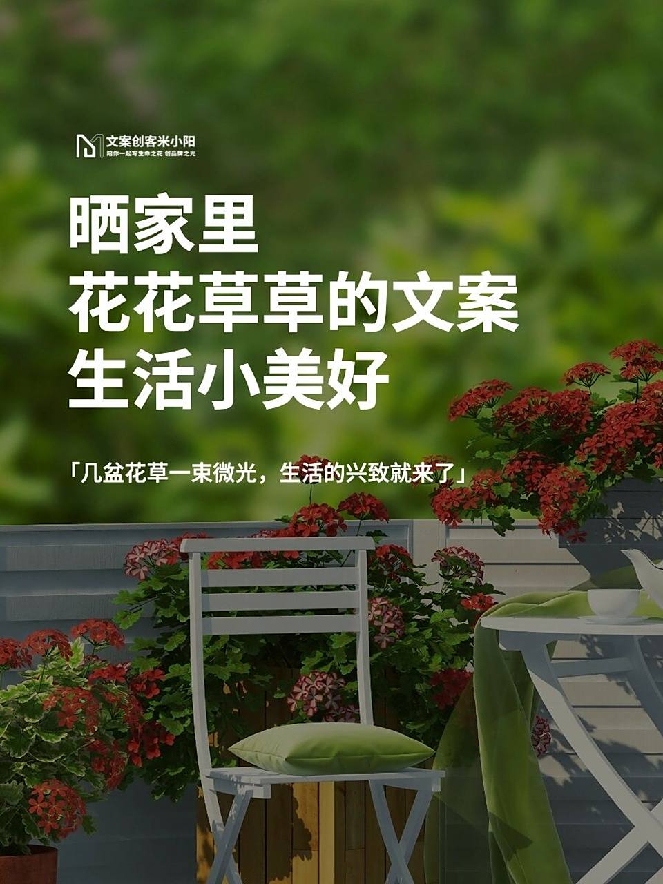 今天分享那些用来晒花花草草的文案,可用来发朋友圈.