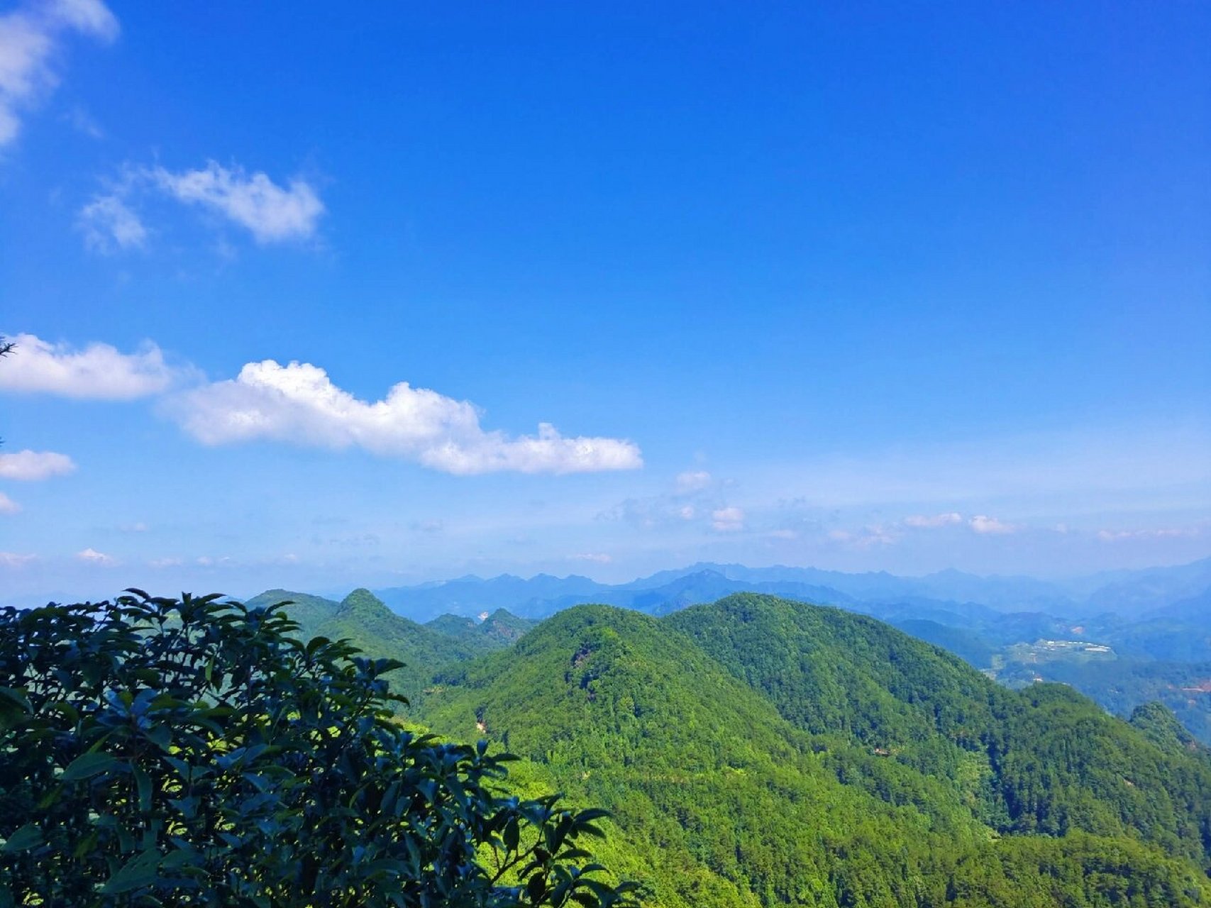 打卡屏南县寿山乡公鸡寨 公鸡寨位于屏南县寿山乡乾前村,山顶风景宜人
