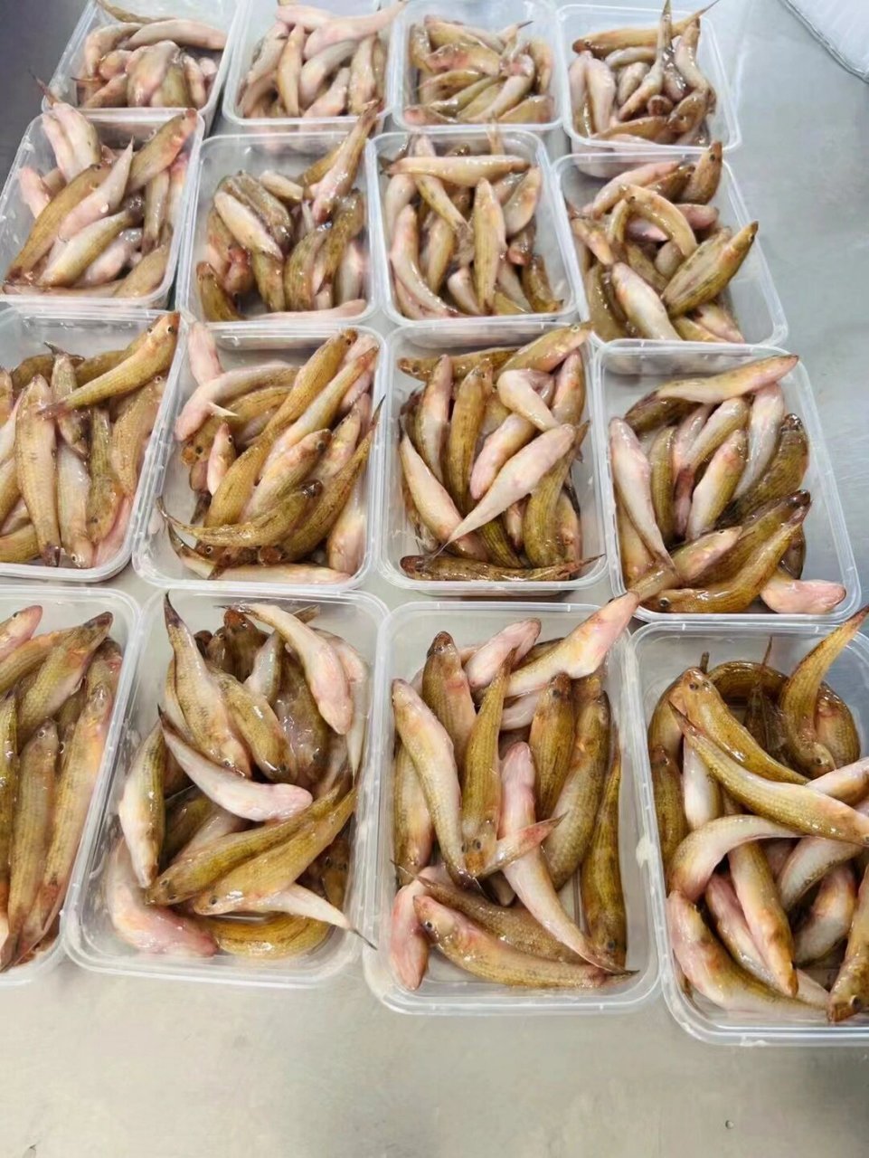 宝宝脾胃差,多用笋壳鱼炖汤,鱼小营养大,稍微煎一下煲点淮山红萝卜