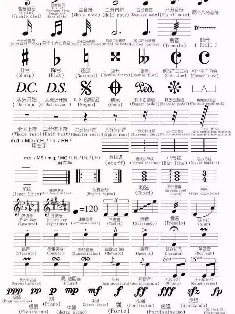 珍藏许久的基础音乐术语及谱表记号 福州 大提琴cello大提琴教学乐理