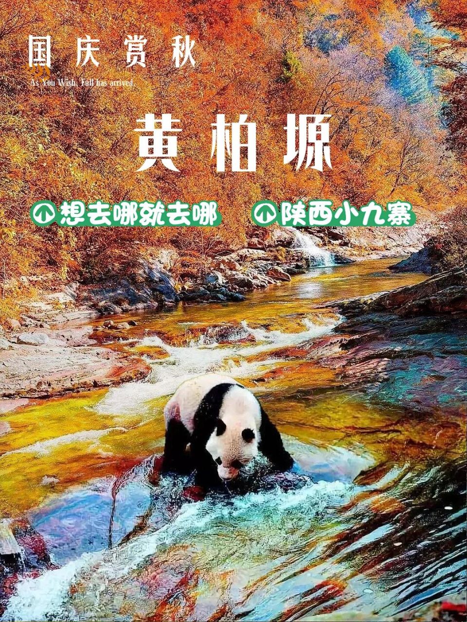 国庆不出陕 | 陕西小九寨-黄柏塬赏秋2日93 黄柏塬——被誉为【陕西