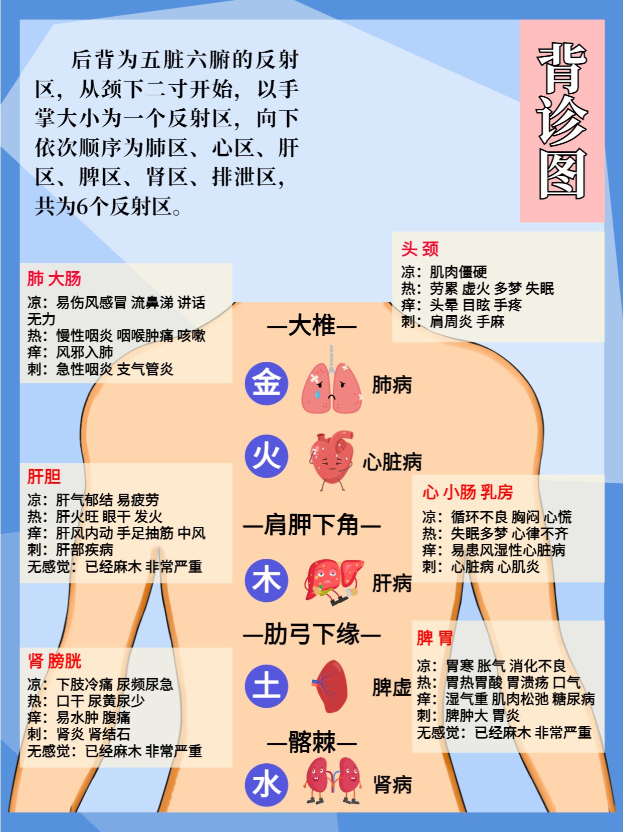 背上对应的五脏六腑图图片