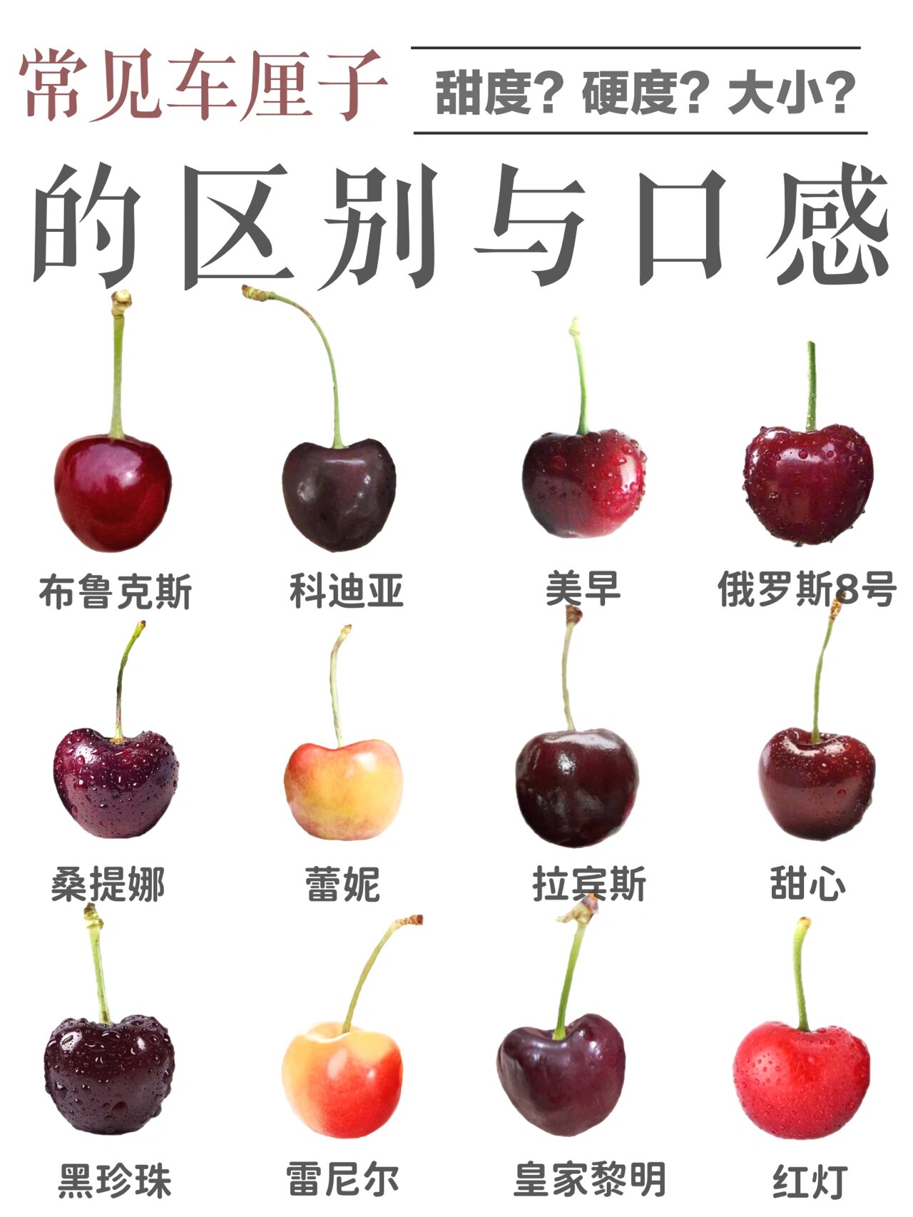 【车厘子说明书】车厘子口感及区别6015挑选技巧