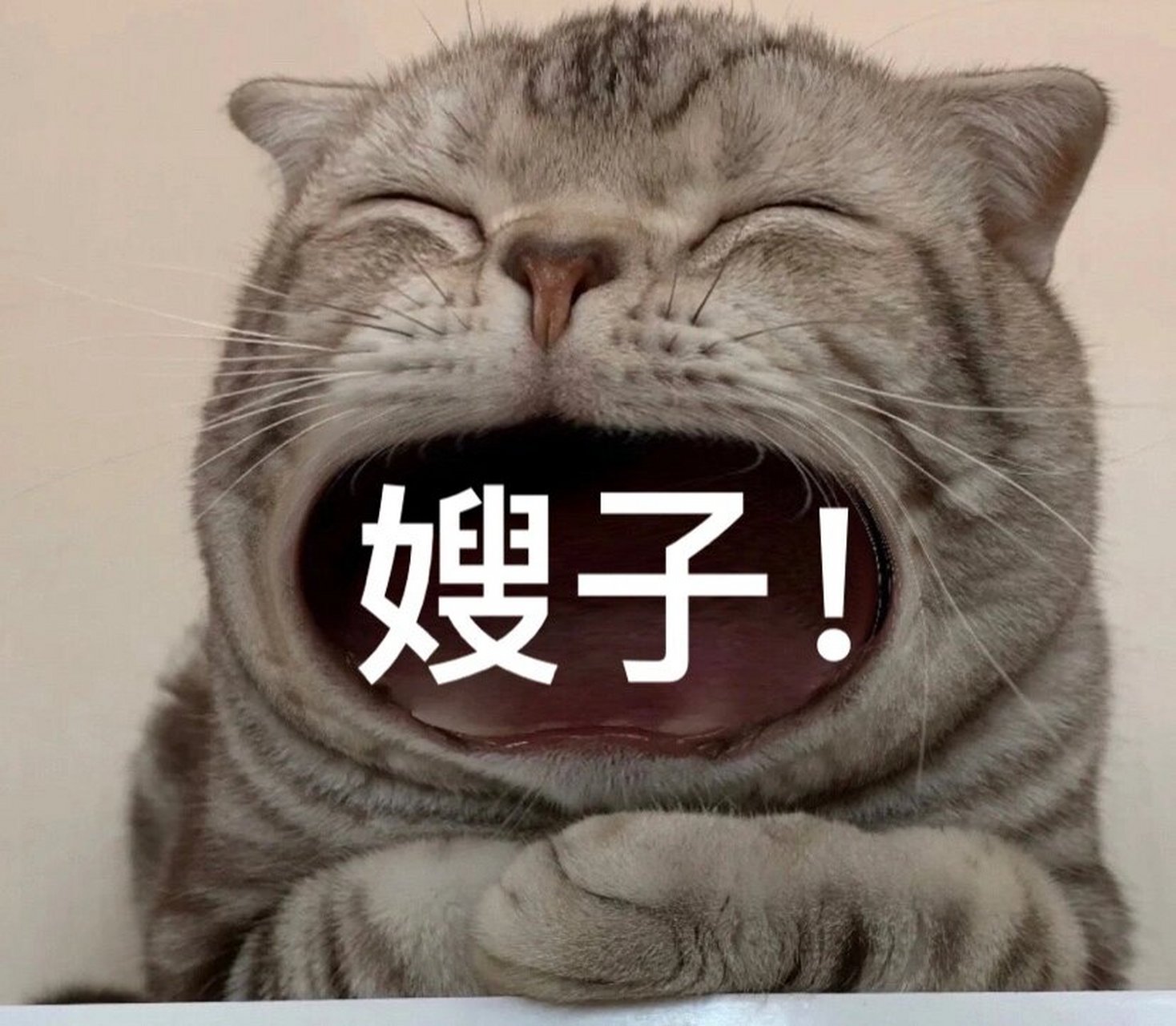 一家人表情包分享(三) 你想要的我都有,你想要的都拿走!