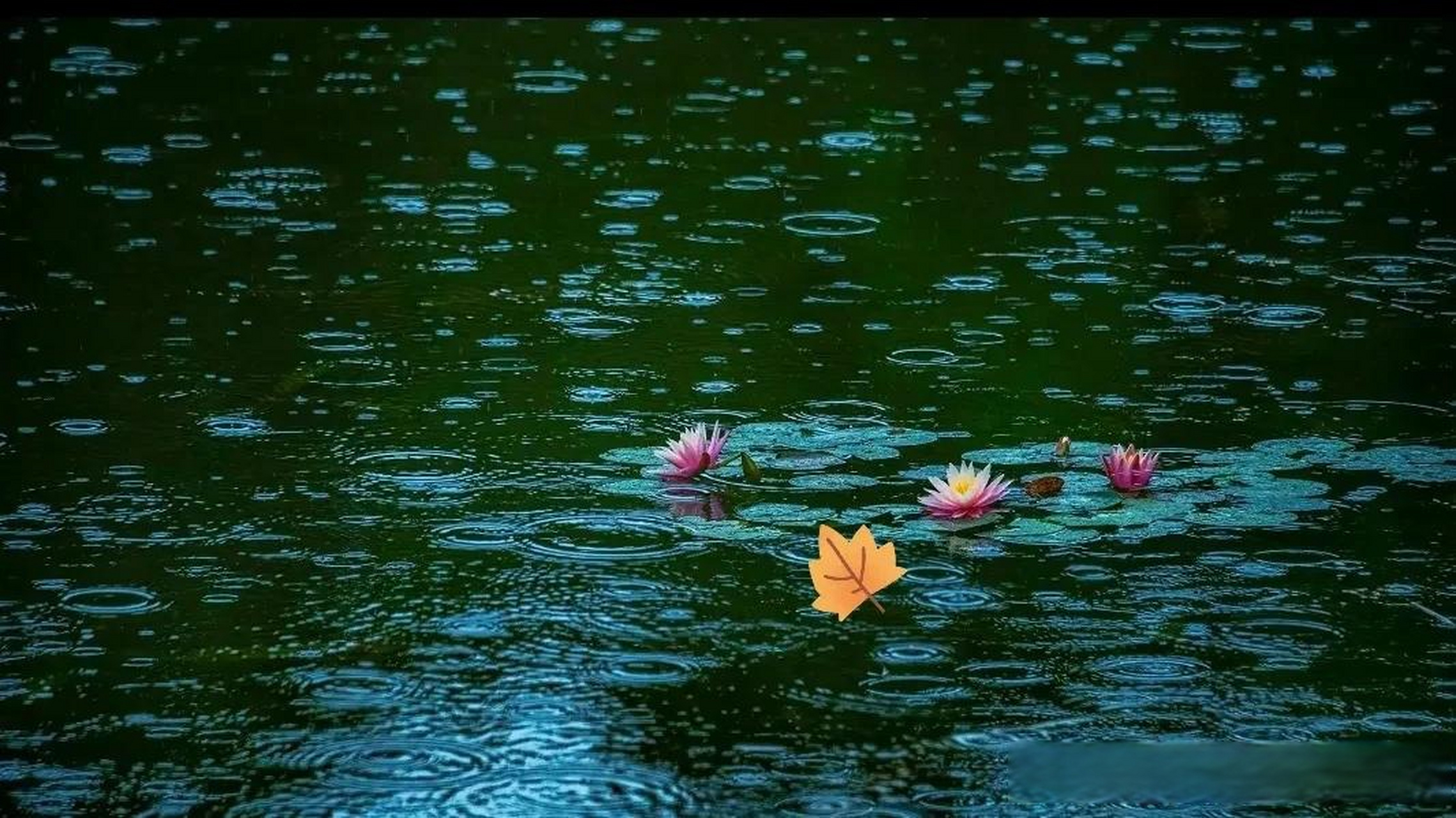 《春夜喜雨》——杜甫 雨在春夜里细细密密的下,只为润物,不求人知.