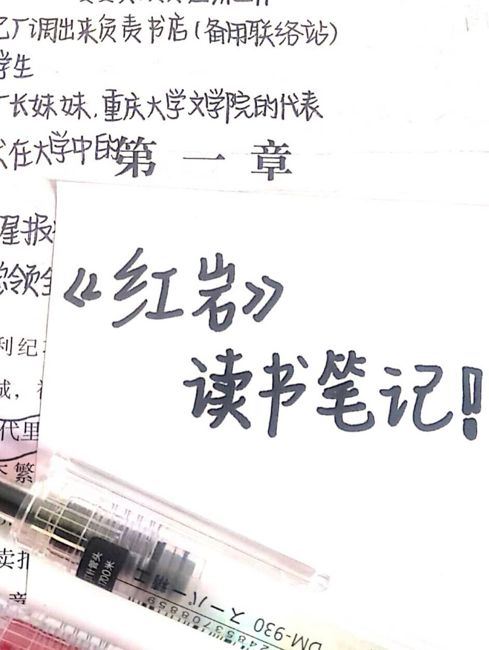 《红岩》读书笔记 《红岩》读书笔记书上批注第一章 以后有机会会写