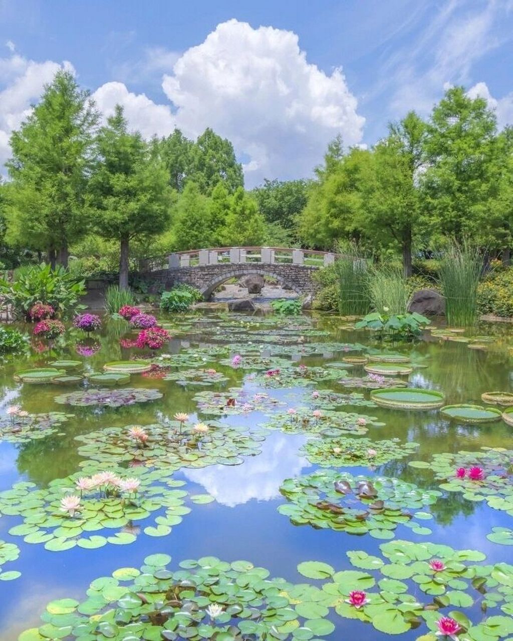 【草津市立水生植物公园水之森】是一处三面环湖,视野特别开阔的公园