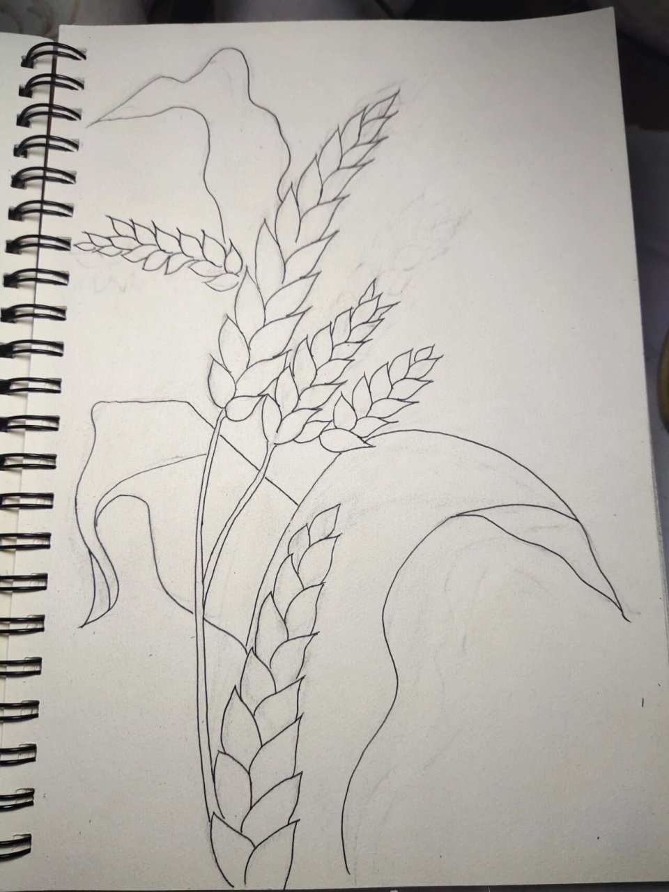 临摹——麦穗