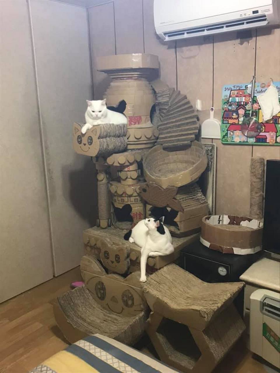 主人用纸盒给猫做了一个城堡,好震撼!