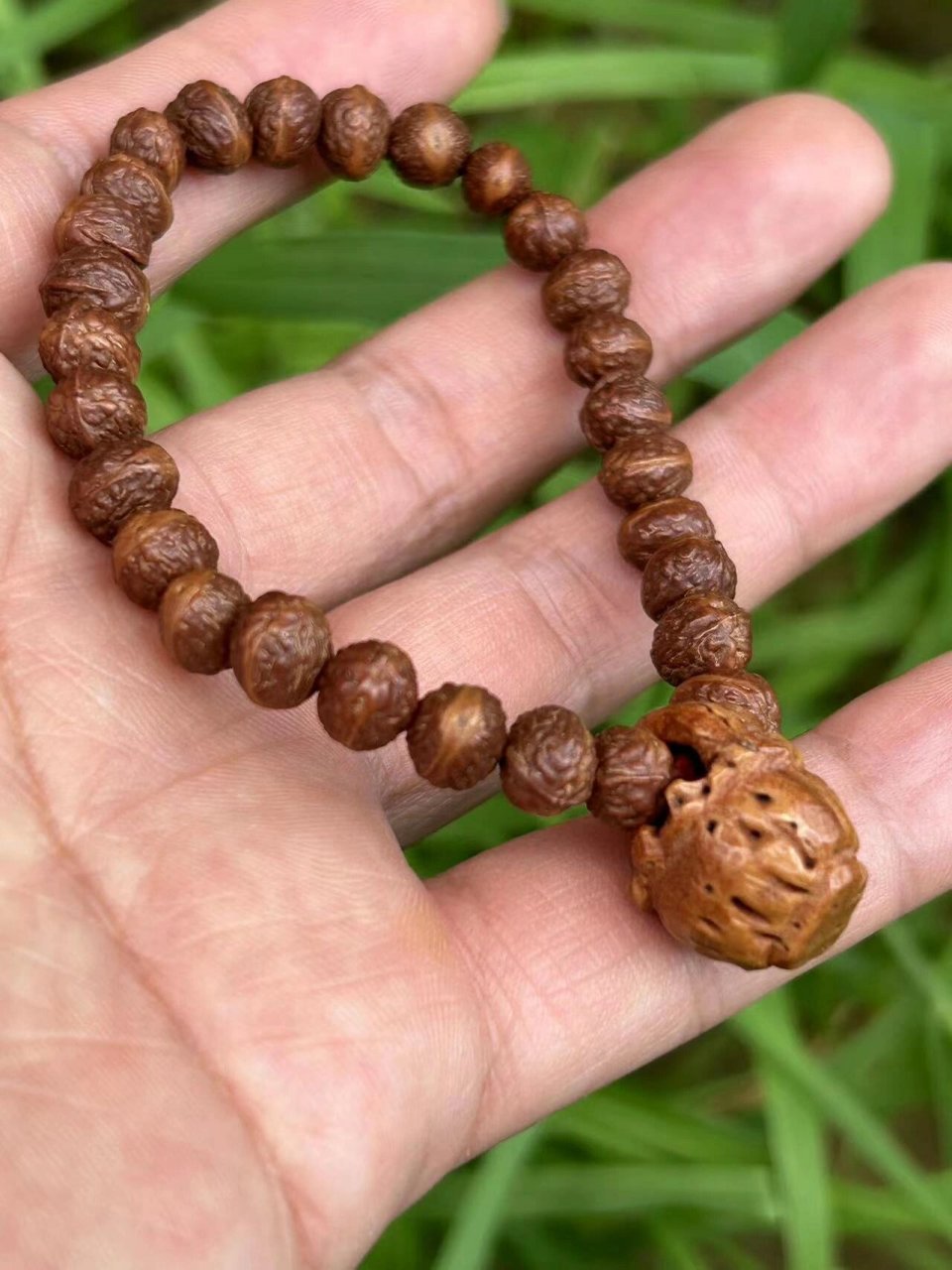 又到摘野酸枣核,做手串的季节了 野酸枣核,做手串也不错,盘玩很漂亮